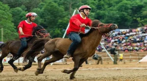 Bí Quyết Tham Gia Đua Ngựa FUN88 Thành Công