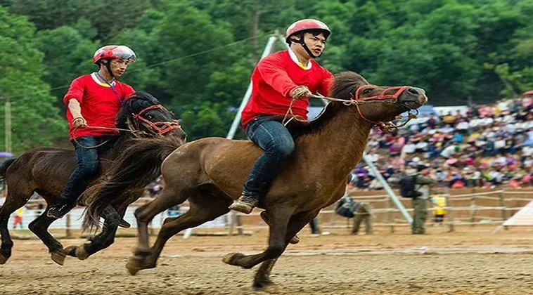 Bí Quyết Tham Gia Đua Ngựa FUN88 Thành Công